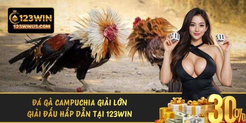 Đá Gà Campuchia Giải Lớn - Giải Đấu Hấp Dẫn Tại 123WIN da ga campuchia giai lon 1