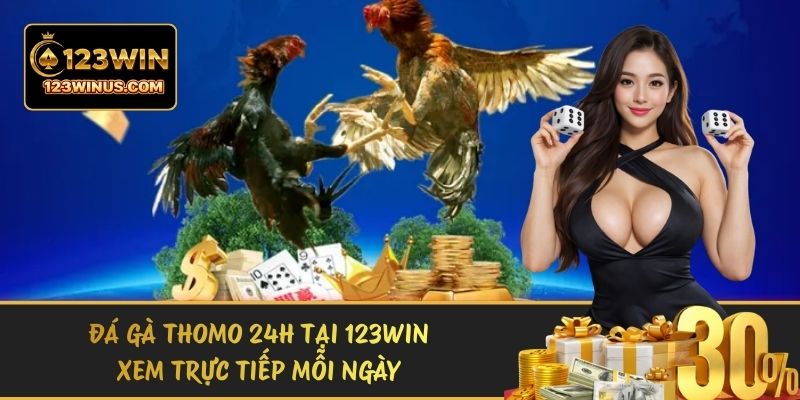 Đá Gà Thomo 24H Tại 123WIN – Xem Trực Tiếp Mỗi Ngày da ga thomo 24h
