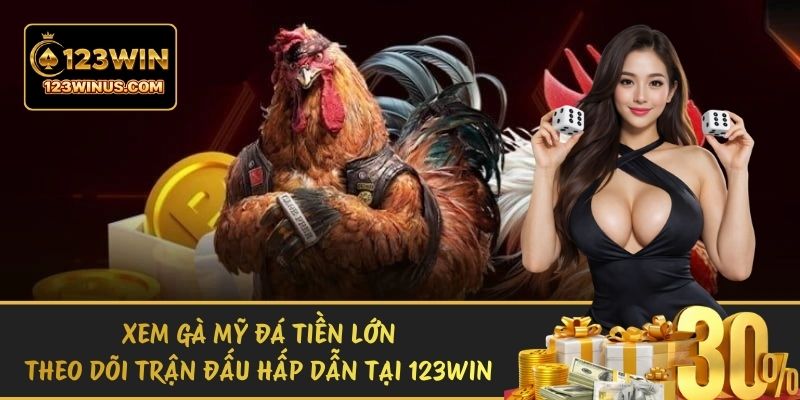 Xem Gà Mỹ Đá Tiền Lớn - Theo Dõi Trận Đấu Hấp Dẫn Tại 123WIN xem ga my da tien lon